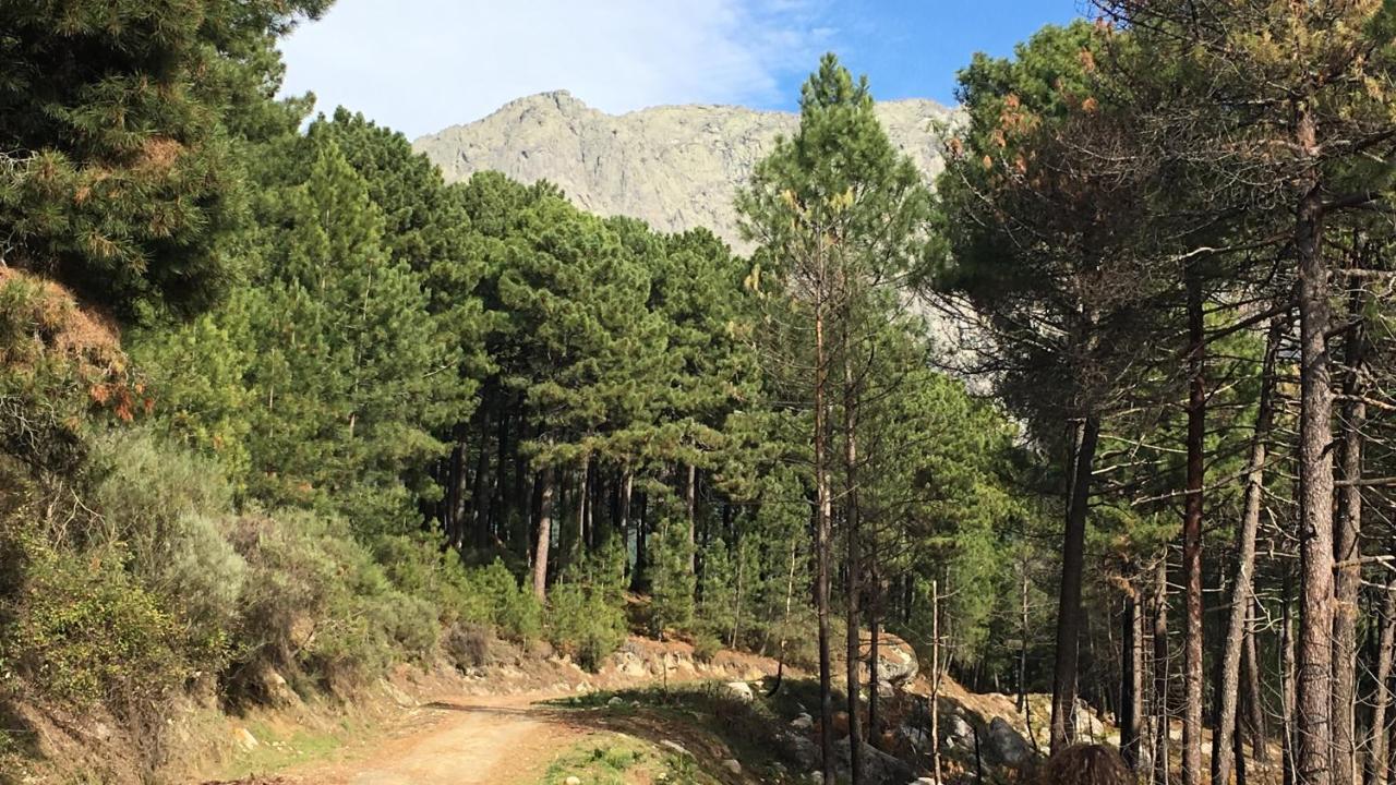 La Calleja Villarejo del Valle Zewnętrze zdjęcie